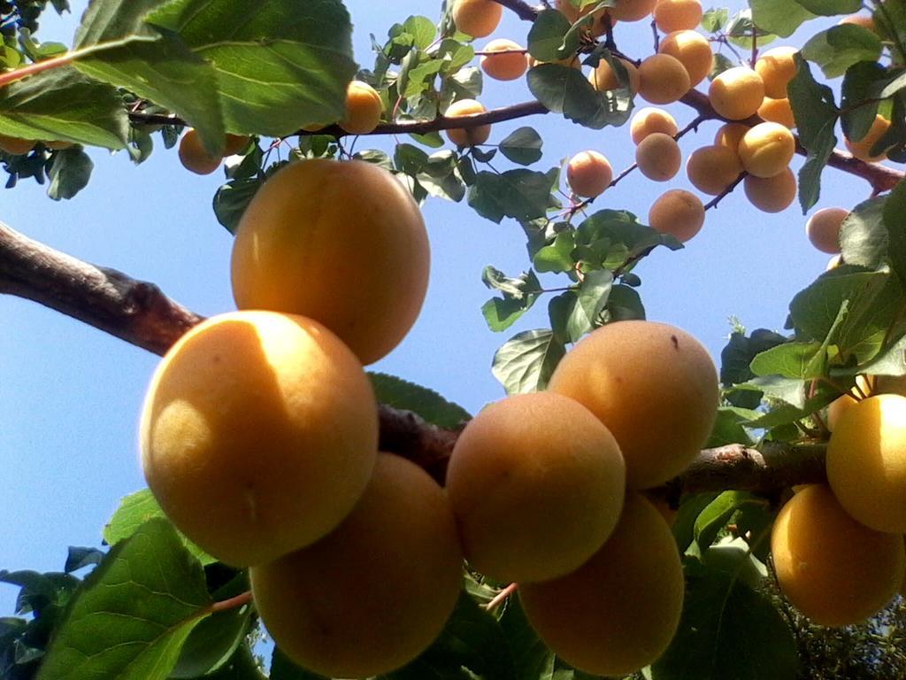 SantʼAntonio Il Punto Verde מראה חיצוני תמונה